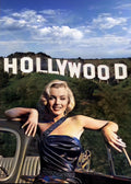 Hollywood Icon
