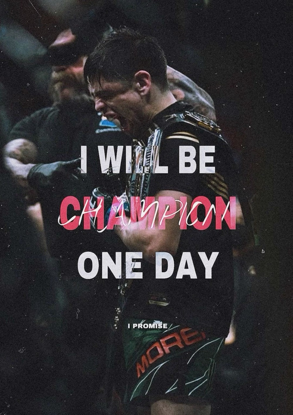 Champion One Day MMA