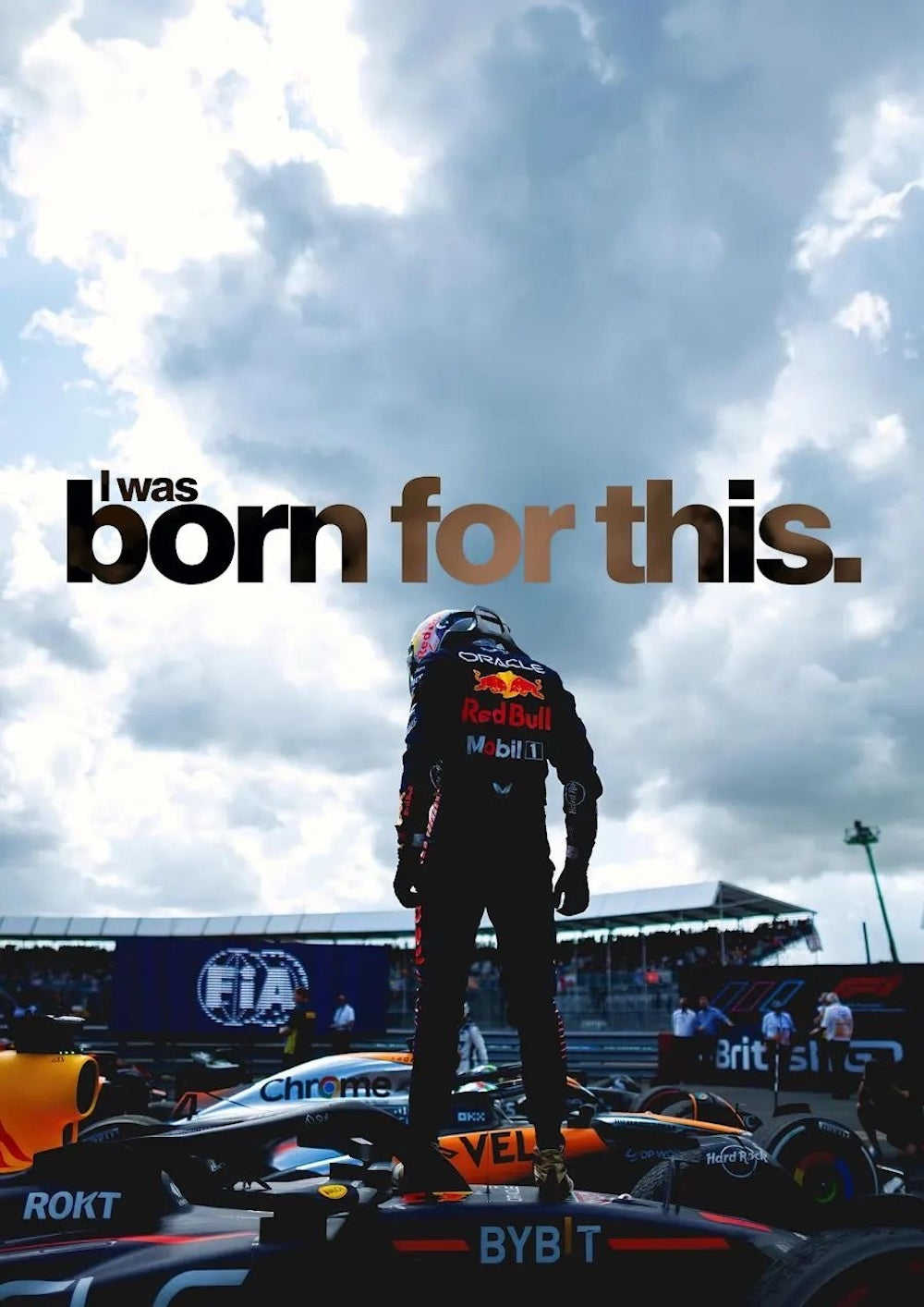 Max Verstappen Born For This Poster