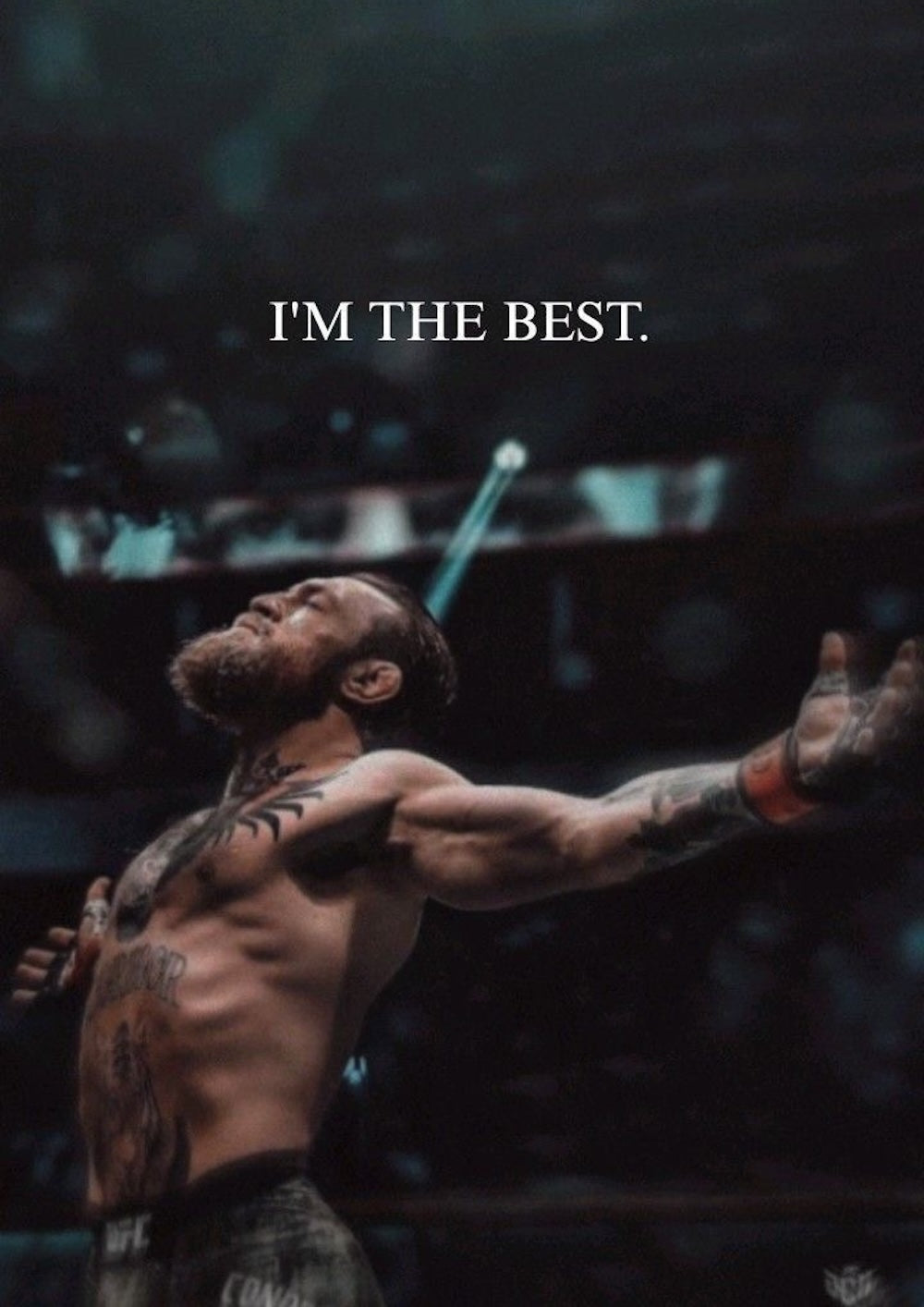 I’m The Best MMA