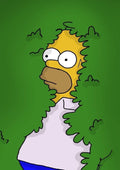 Homer Simpson Hidden