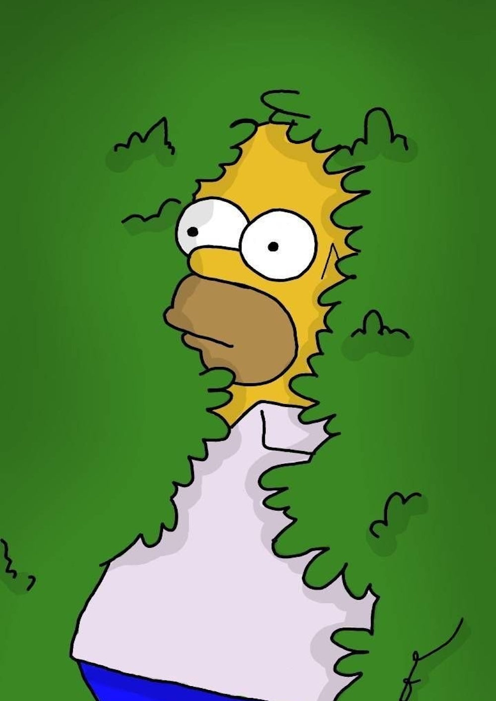 Homer Simpson Hidden